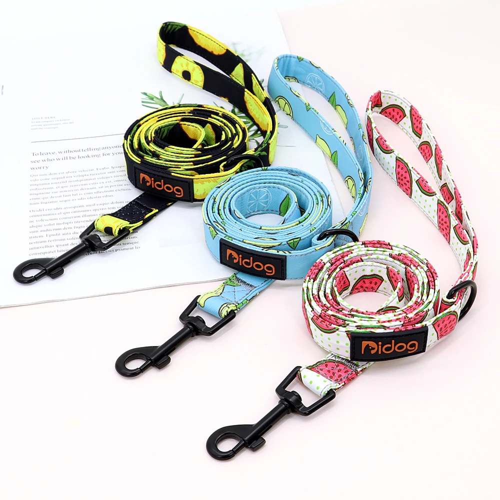Cute Leash Rope Soft Nylon Walking Leashes Strap Pet - PeticaDeals