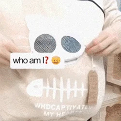 Hoodies Sweatshirt Women’s Sweatshirt Animal Pouch Hood Tops Carry Cat Breathable Pullover Blouse Plus Size S 3XL sudadera mujer|Hoodies & Sweatshirts| - AliExpress