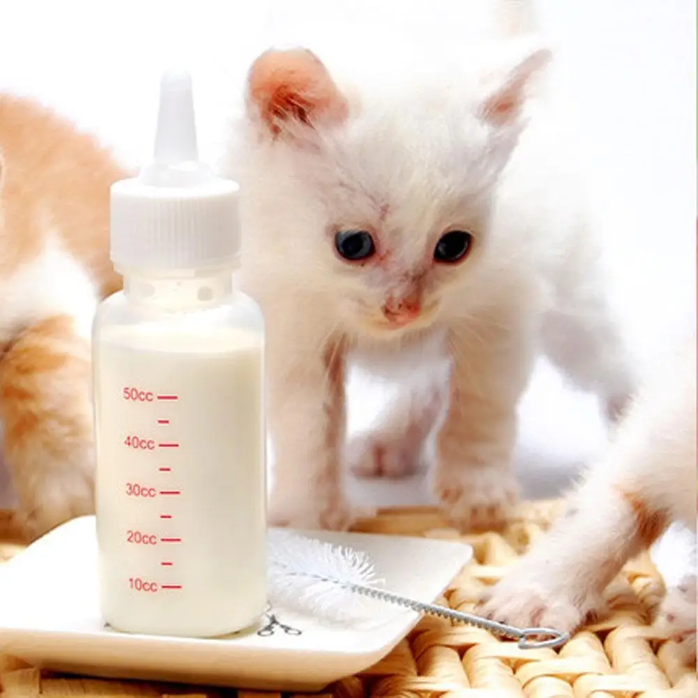Бутылка для воды для щенка кота питьевой открытый диспенсер для воды для домашних животных питатель ПЭТ продукт бутылка кормление грудью с чистящей щеткой