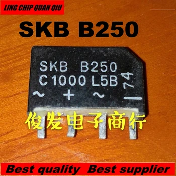 

10PCS/LOT SKB B250 C1000 L5B SKBB250C1500L5B SKB-B250 C1500L5B