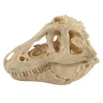 

1pc Tyrannosaurus Skeleton Pattern Decorative Durable Resin Crafts Desktop Decoration Resin Ornaments for Desk Decor