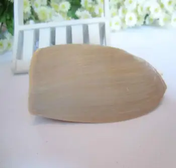 

Natural conch shell 10-12 cm Beach Shells Crafts Seashells Aquarium Decor Aquarium Landscape Seashells Crafts/party Decor