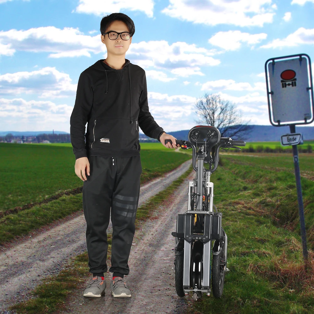 EcoRider E6-7 250W Electric Bike for Adult Electrical Motorcycle City Road Electric Bicycle