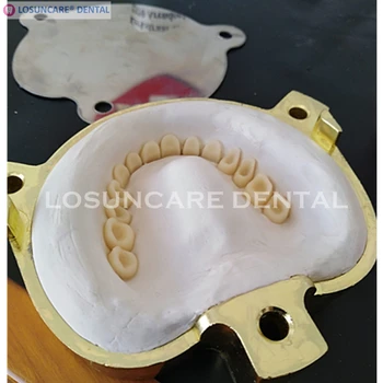 

Copper Denture Flask Dental Lab Press Compress Compressor Equipment Parts Flask On Acrylic Partial Work