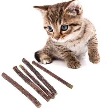 

5pcs Natural Catnip Cat Molar Silvervine Stick Chew Teeth Cleaning Cat Mint Treating