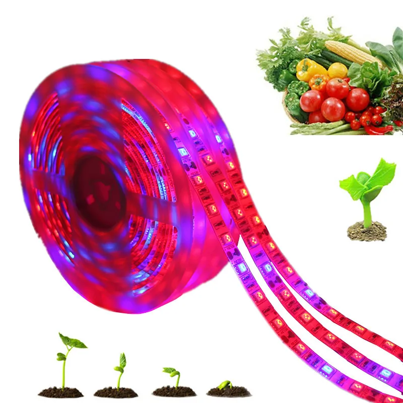 

LED Grow Light Full Spectrum LED Strip Lights 0.5m 1m 2m 3m 5m 5050 Chip LED Phyto Lamps For Greenhouse Hydroponic Plant Growing