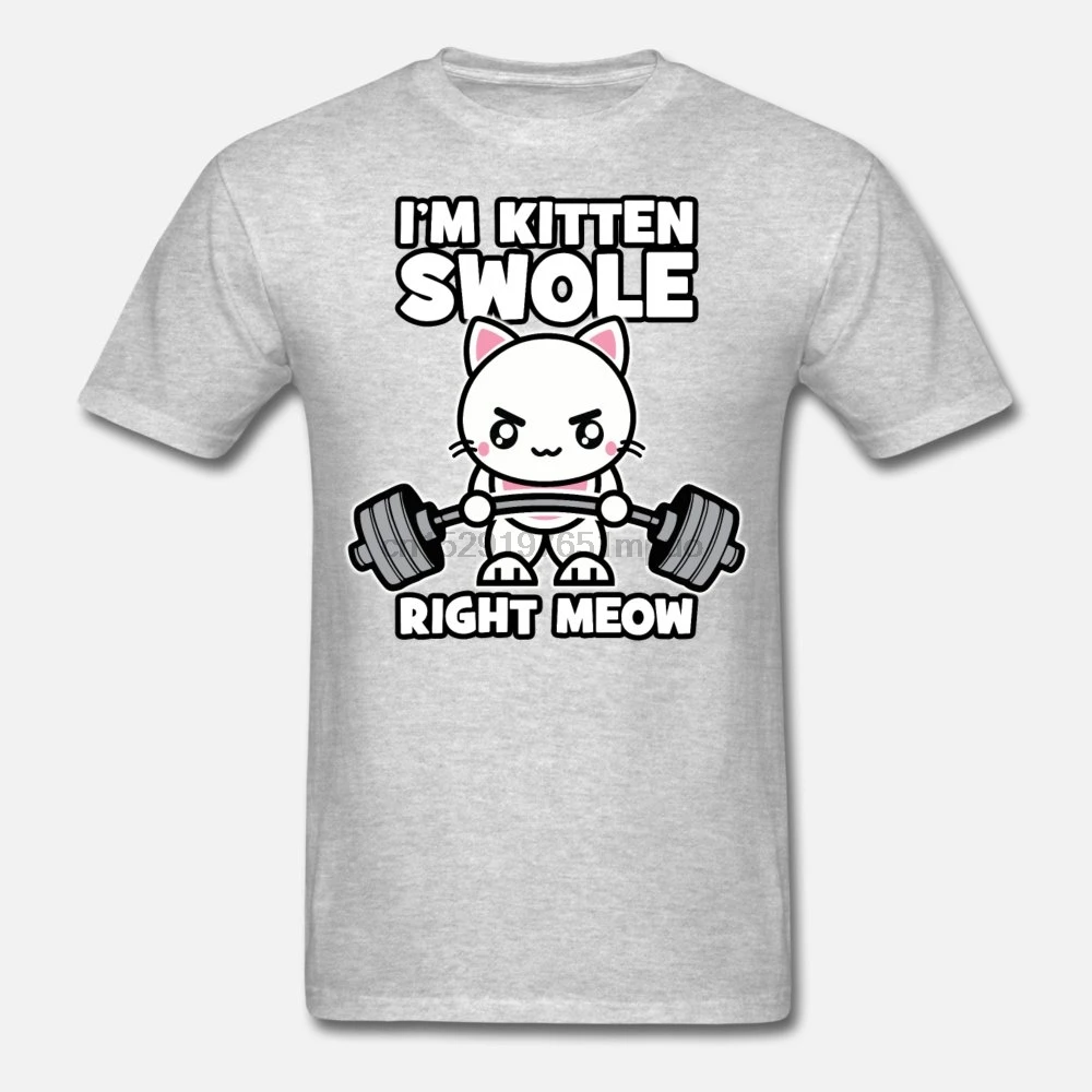 Мужская футболка I'm Kitten свободный правый мяу-тренажерный зал кошка футболки