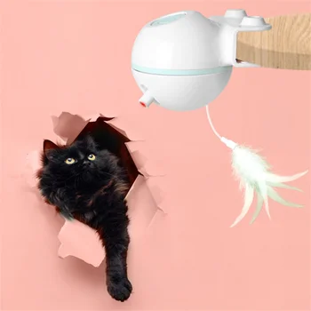 

Electric Pet Laser Pen Cat Toy Kedi Malzemeleri Clipped USB Feather LED Funny Cat Stick Funny Toy Training Funny Pet Supplies