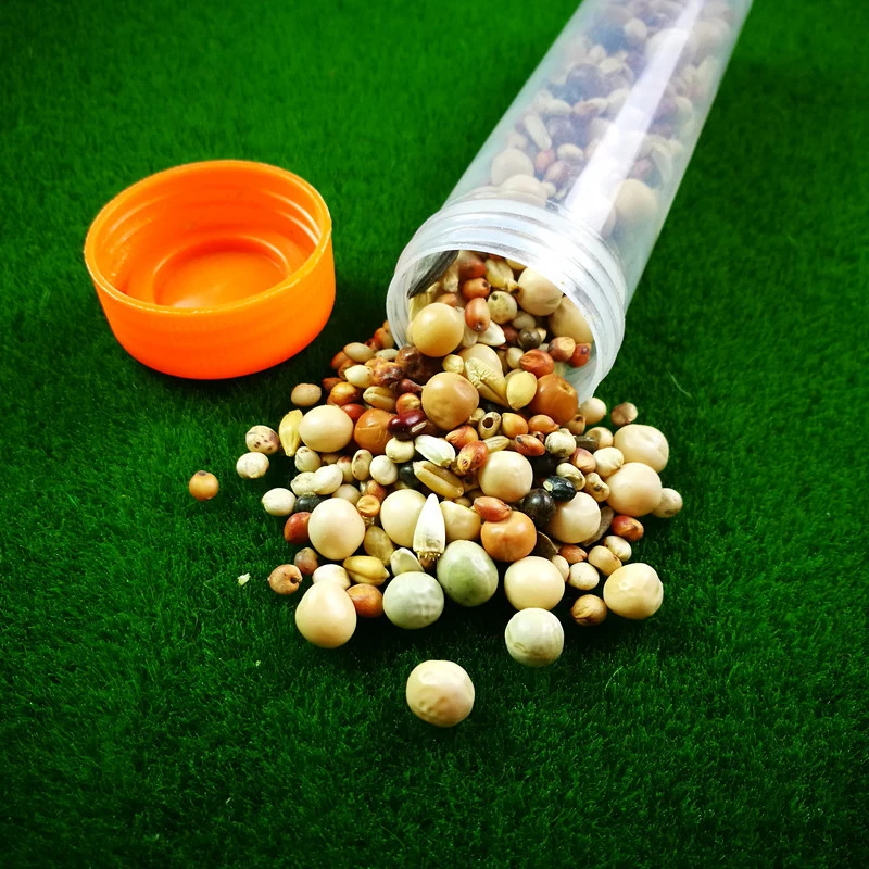 Accesorios para granja de hormigas, semillas de comida, comida, 10ml / 50ml