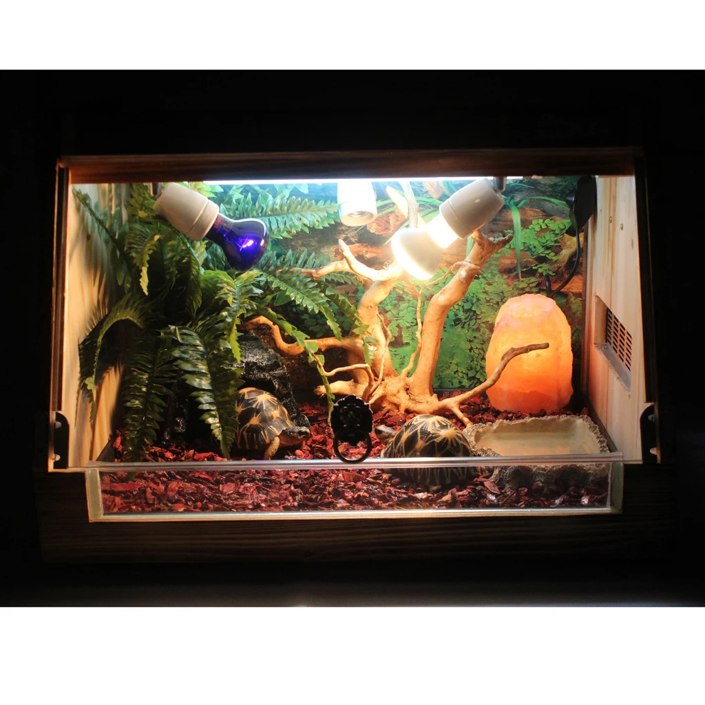 Reptile Terrarium Landscaping Natural Wood Root & Ivy Vines Aquarium Decoration