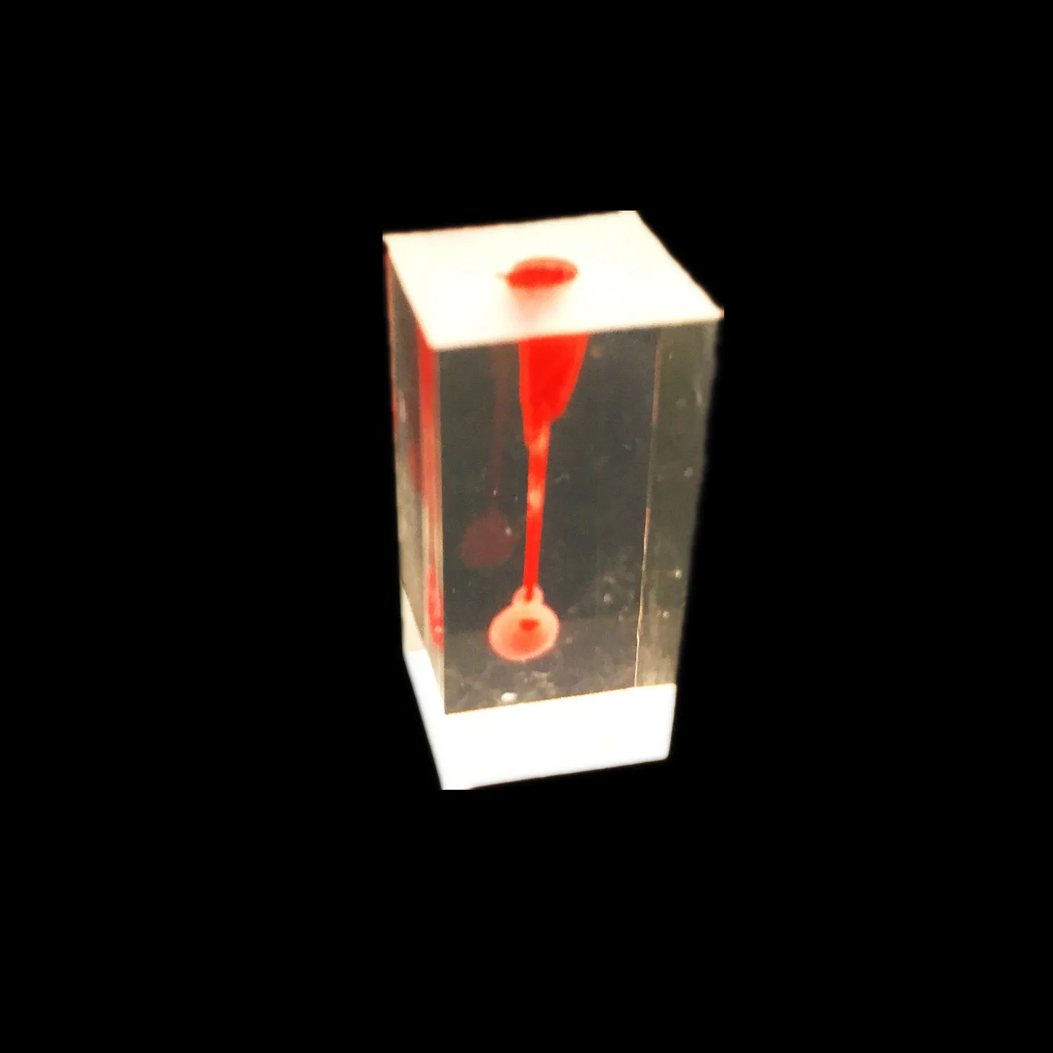 

Dental Tooth Root Canal Practise Model For RCT Practice Medullary Cavity 1 Pulp
