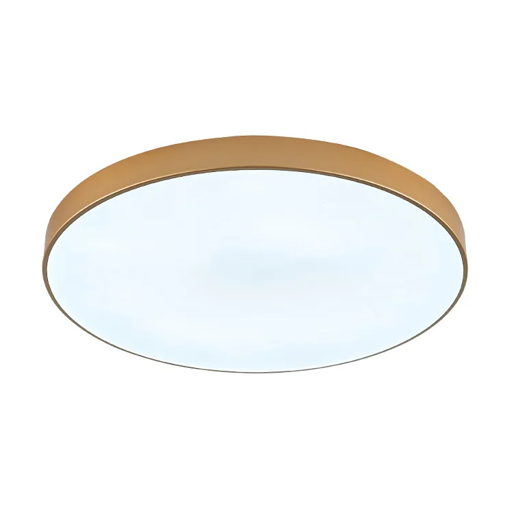 

Living Room Lamp Modern Minimalist Creative LED Smart Ceiling Light Lens Circle Bedroom Lamp