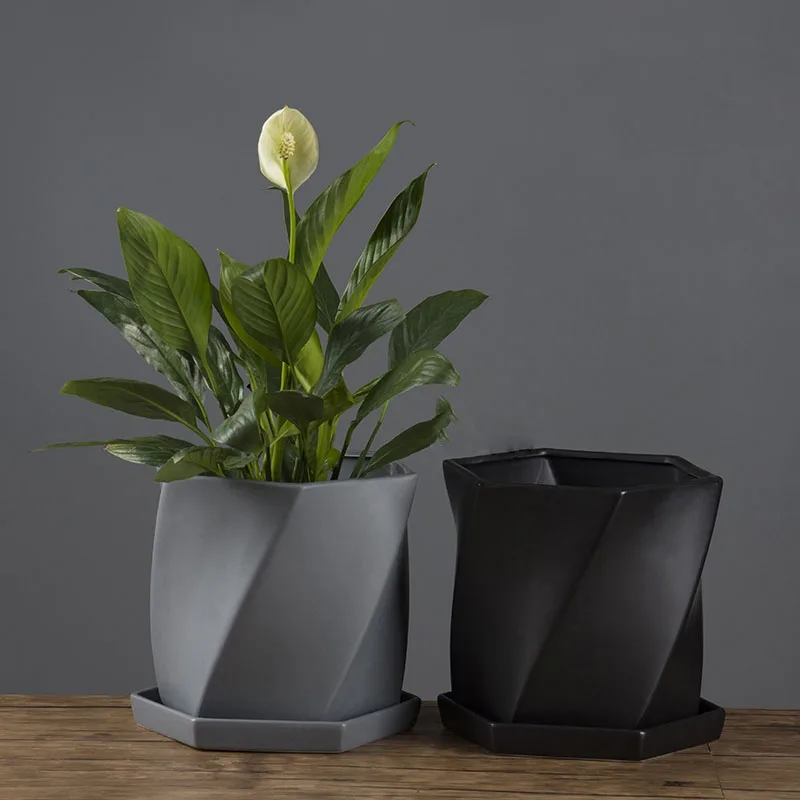 

Export Simple Fashion Ceramic Flowerpot With Large Tray Creative Modern Hexagonal Geometric Polygon Chlorophytum Chlorophyllin