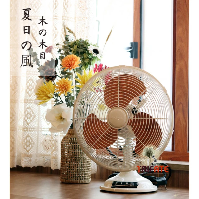 220v Commercial Double-headed 360 ° Rotating Swing Head Floor Fan Desk  Indoor Remote Control Standing Small Fans for Home Stand - AliExpress