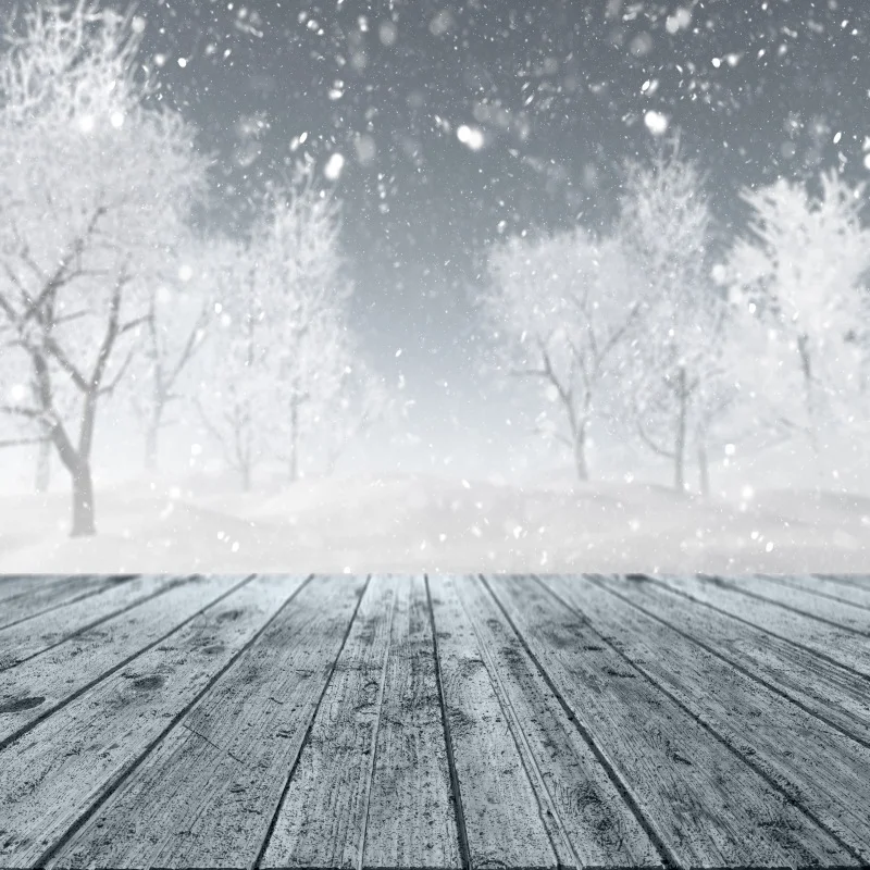 Laeacco Winter Backdrop For Photography Snow Snowflake Gray Tree Old Wooden Board Baby Photo Background Photocall Studio | Электроника