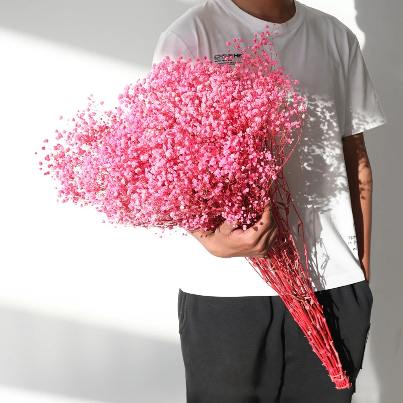 Natural Fresh Dried Preserved Flowers Gypsophila Paniculata,Baby's Breath Flower Bouquets Gift for Wedding Decoration,Valentines