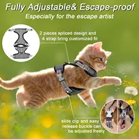 Adjustable Pet Harness & Leash