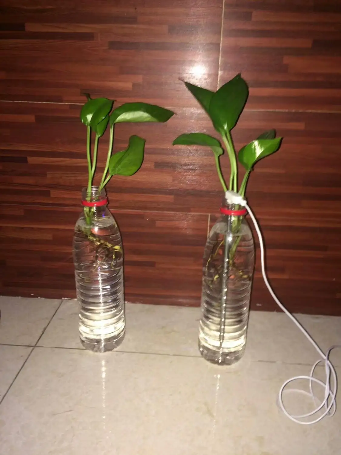 Grounded Rod Home / Office Plants / Flower Grounding Cord 5 Meters 16.5