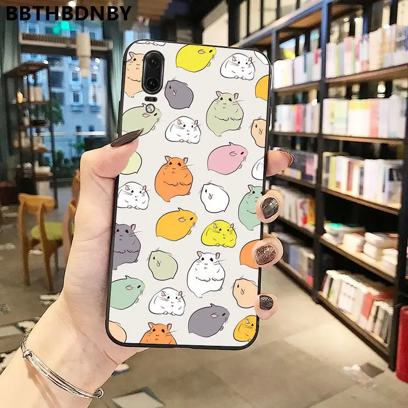 Hamster