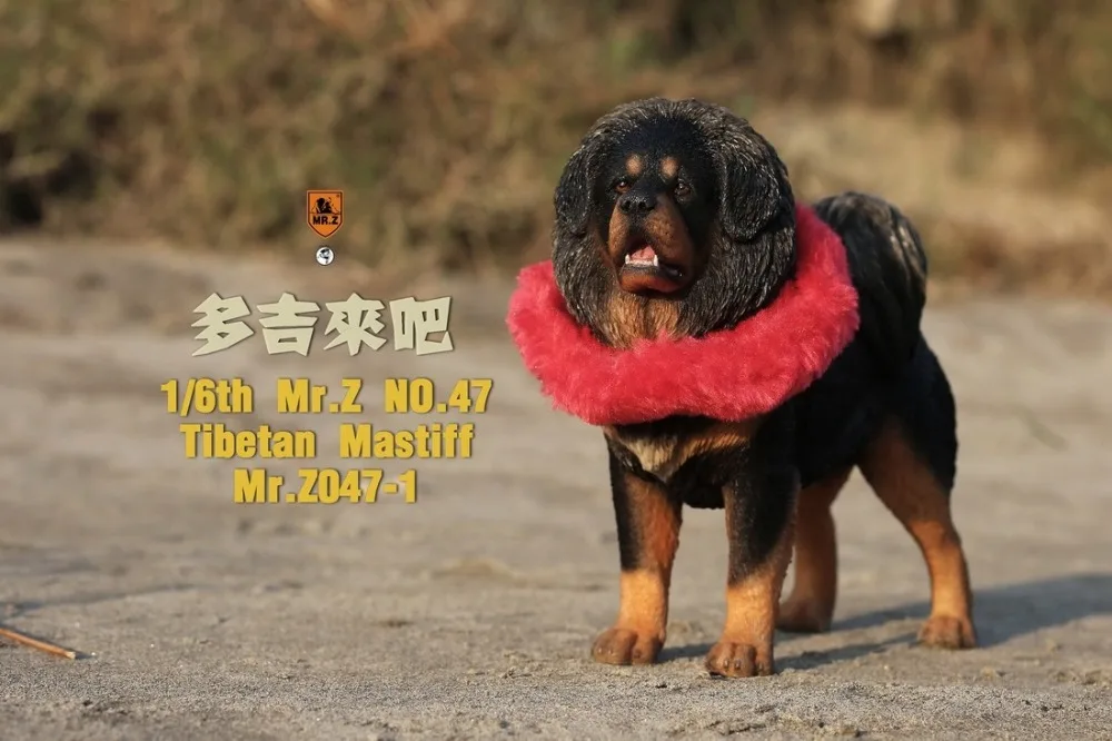 O1CN011qCLVr1bQizIed5CC_!!3230463460
