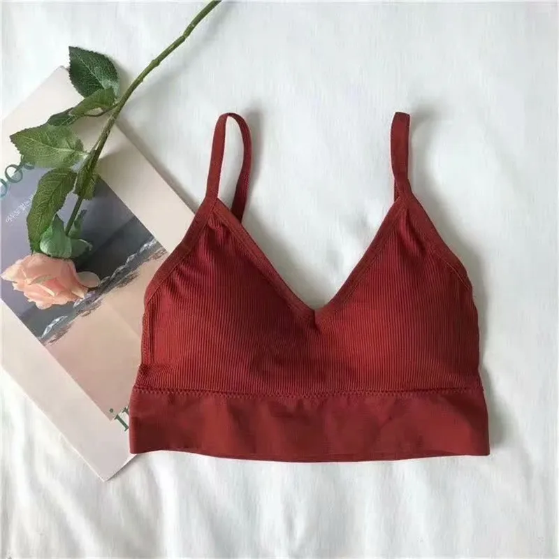 New fashion simple solid color student thread underwear bra beauty back bra tube top sports lingerie New fashion simple solid color student thread underwear bra beauty back bra tube top sports lingerie