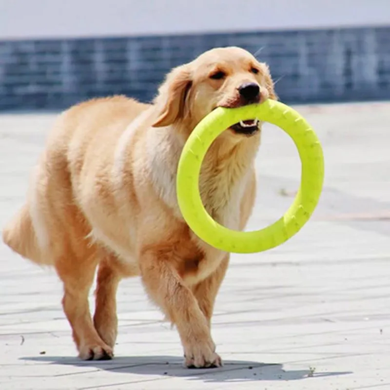 Flying-Discs Supply Puppy Puller-Resistant Dog-Training-Ring Interactive-Game Bite Outdoor