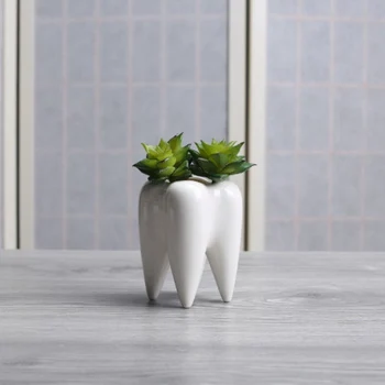 

Simple Outdoor Gardening Creative Succulent Teeth Flower Pot Ceramic Flower Pot Desktop Potted Ornaments-teeth bonsai