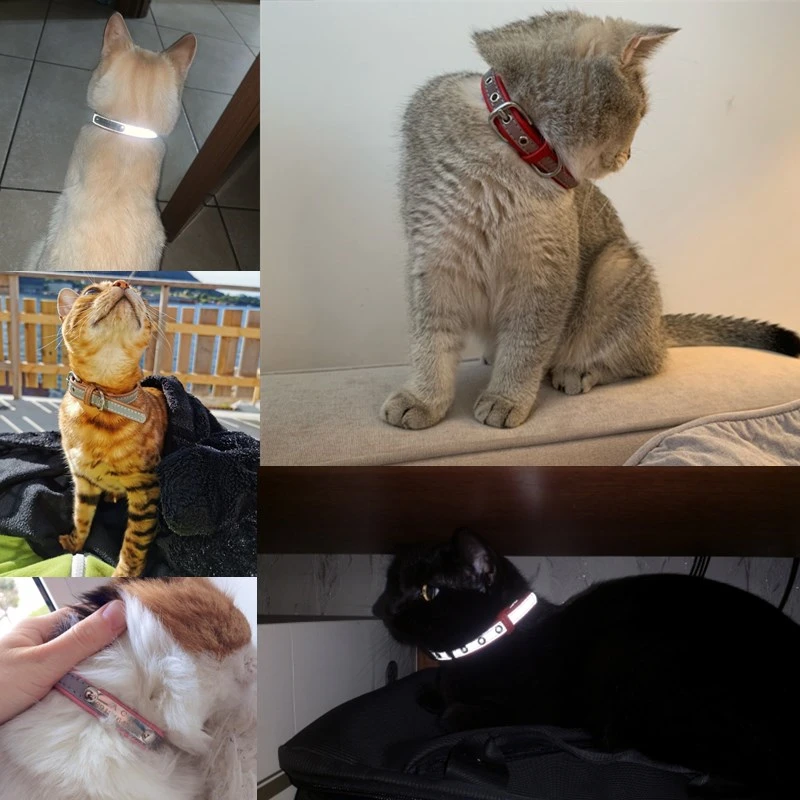 Светоотражающий кожаный индивидуальный ошейник для кошек, персонализированный ID ошейник, выгравированный имя, номер телефона, гравировка для щенка чихуахуа 15