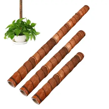 

In Stock Coir Totem Pole Coir Rod Plant Support For Indoors Vines Climbing Plants Coir Rod For Epipremnum Aureum