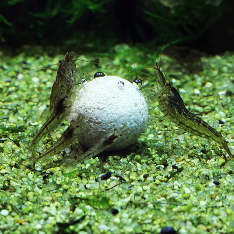 Water quality stabilizer nitrifying bacteria ball fish tank water purifier water purifying agent 3Pcs