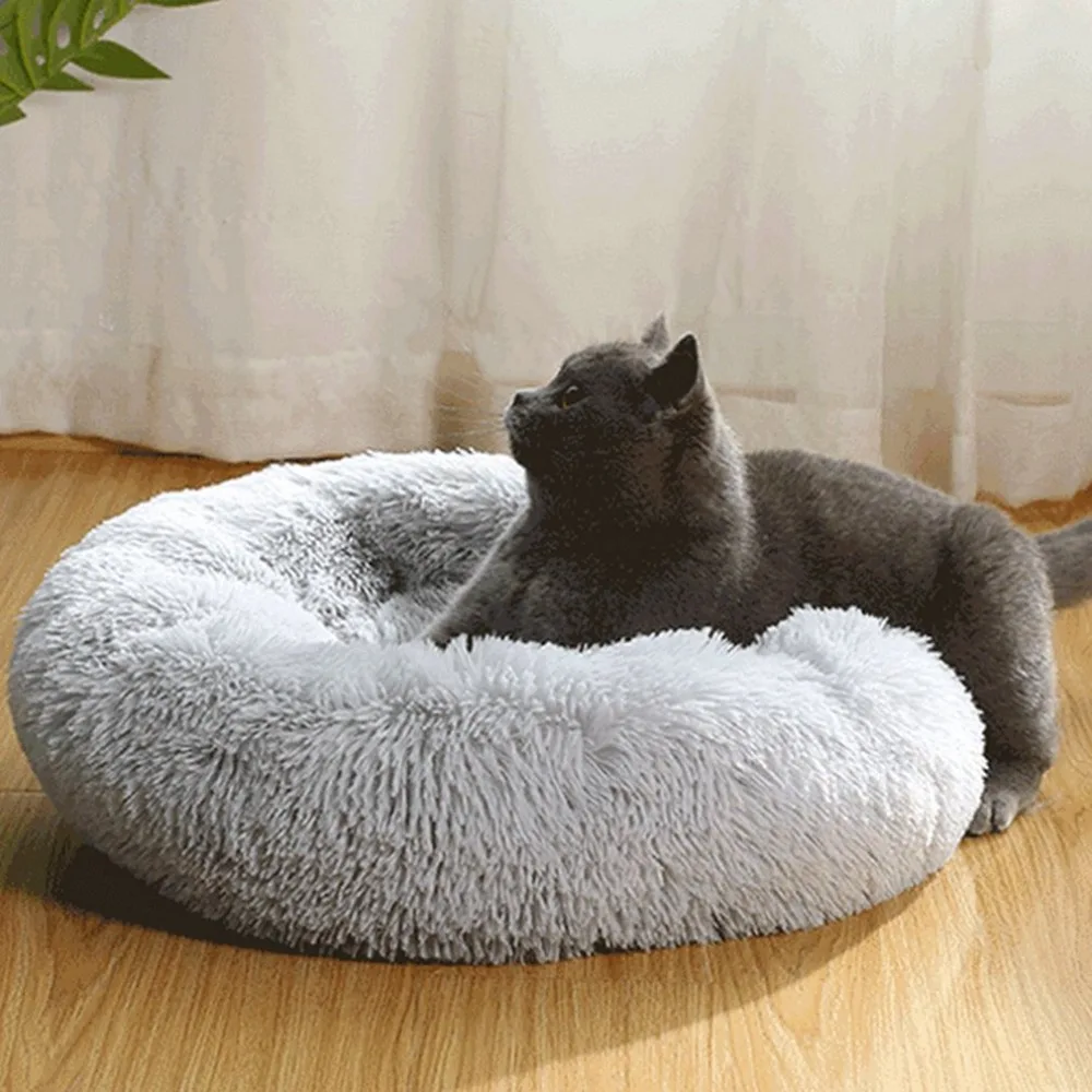 WJ479802-C-20101208-1