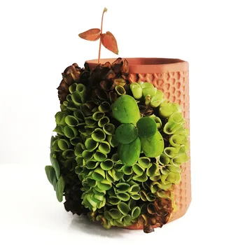 

Decoration Ceramic Pottery Seepage Drainage Hole Succulent Planter Watering Vegetables Planting Hydroponic Home Flower Pot