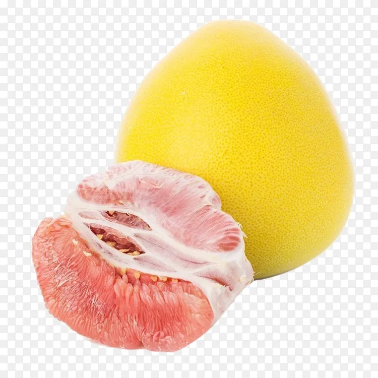 平和县柚子玉茶柚子果香葡萄柚png图片素材免费下载 图片编号1515 Png素材网 平和县柚子玉茶柚子果香葡萄柚png图片素材免费下载 图片编号1515 Png素材网