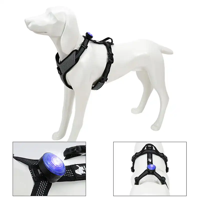 LED Dog Collar Pendant Tag Flashing Pet Puppy Luminous Night Safety Light Lamp