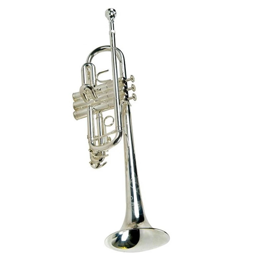 TR8245
