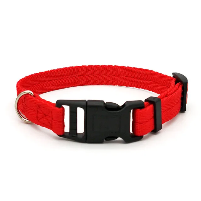 Nylon Webbing Dog Collar Fashion Buckle Pet Collar for Small Medium Dogs Chihuahua Dog Red Black Blue Orange Pet Accessory 4