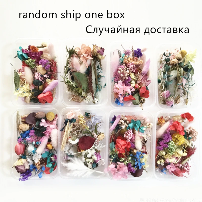 11073759997_1678662750_副本