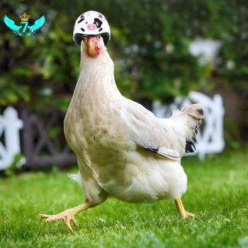 

4/3/2/1Pcs Chicken Helmet For Pets Funny Protective Chicken Helmet Hen Chicken Hard Hat Bird Hat Hood TOB