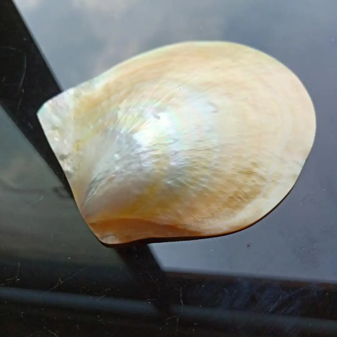 H6e17b4f29ffa4eb5895906b2e7094075Q.jpg?width=1080&height=1080&hash=2160