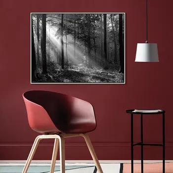 

Canvas Painting Print Black White Poster Sunshine Forest Landscape Wall Art Pictures Living Room Home Decor Drop Shipping