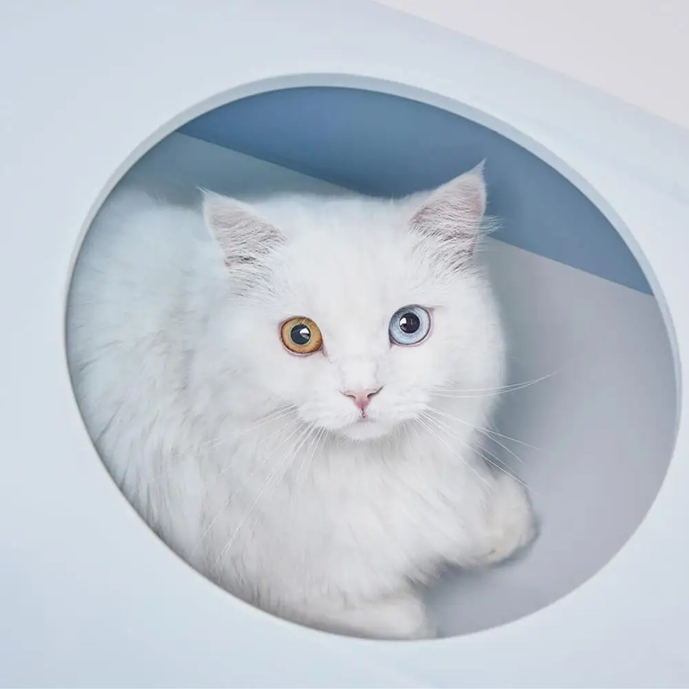 Xiaomi Mijia ворсистый хвост ПЭТ туалет коробка двойного назначения кошачий наполнитель чехол для кошек Туалет анти-всплеск Loo песочница кошка горшок для дома