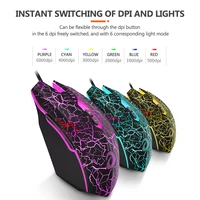 Computer Peripherals