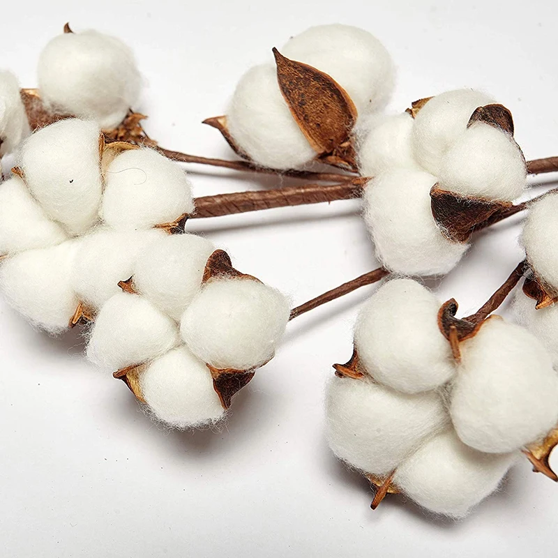 Simulation Natural White Cotton Stems Dried Flower Branch for Farmhouse Style Antique Floral Furniture Wedding Decoration(Cotto