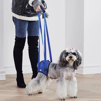 

Adjustable Dog Lift Harness for Back Legs Pet Support Sling Help Weak Legs Stand Up Pet Dogs Leash Aid Assist Tool Blue XL