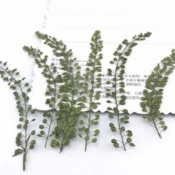 

12pcs/Bag Dried Flower Dry Plant DIY Real Flowers for Aromatherapy Necklace Jewelry Candle Epoxy Resin Make Accessories