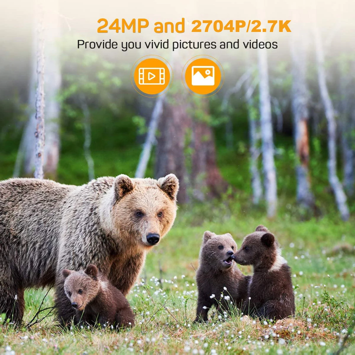 2.7K 24MP Wildlife Trail Camera Photo Trap Infrared 940NM Low Glow Night Vision Hunting Cameras HC802A Wireless Surveillance hunting trail camera trail camera