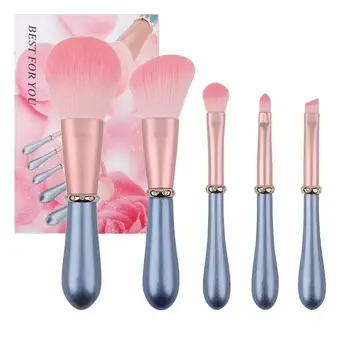 

5PCS/Set Makeup Brush Set Beginner Beauty Tools Makeup Brush Eye Shadow Blending Blush Brush Eyeliner Brush Lip Brush Tools