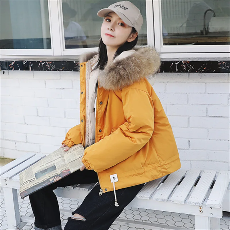 

2018 New Style Winter New Style Korean-style Loose-Fit Hooded Large Fur Collar Cotton-padded Clothes Students down Jacket Cotton