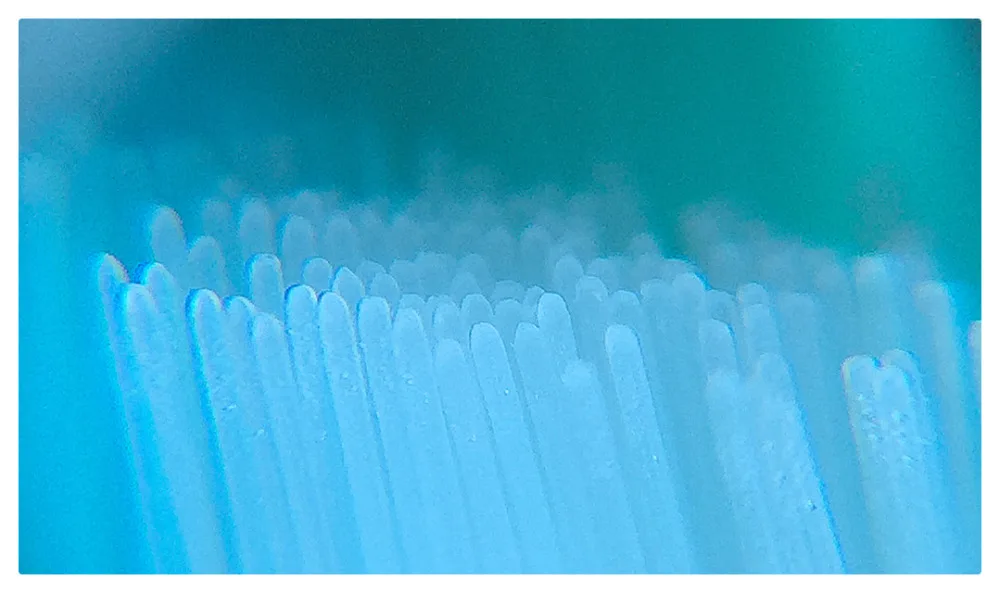brush head-details