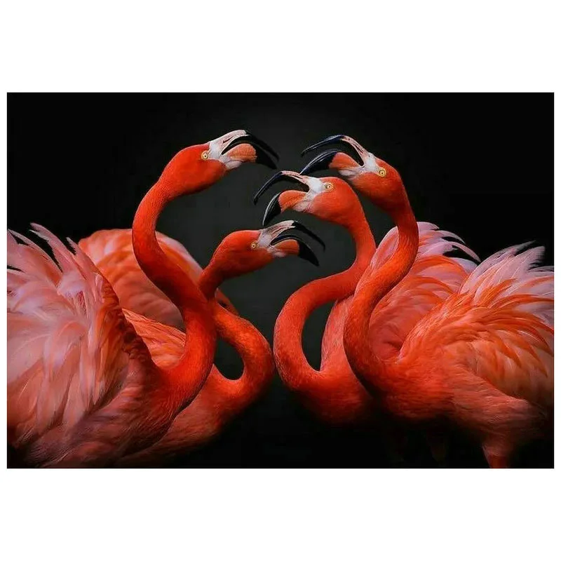 

5D Diy Diamond Painting Flamingo Full Drill Round Animal Diamond Kit Embroidery Rhinestone Picture Art Diamond Mosaic Home Gift